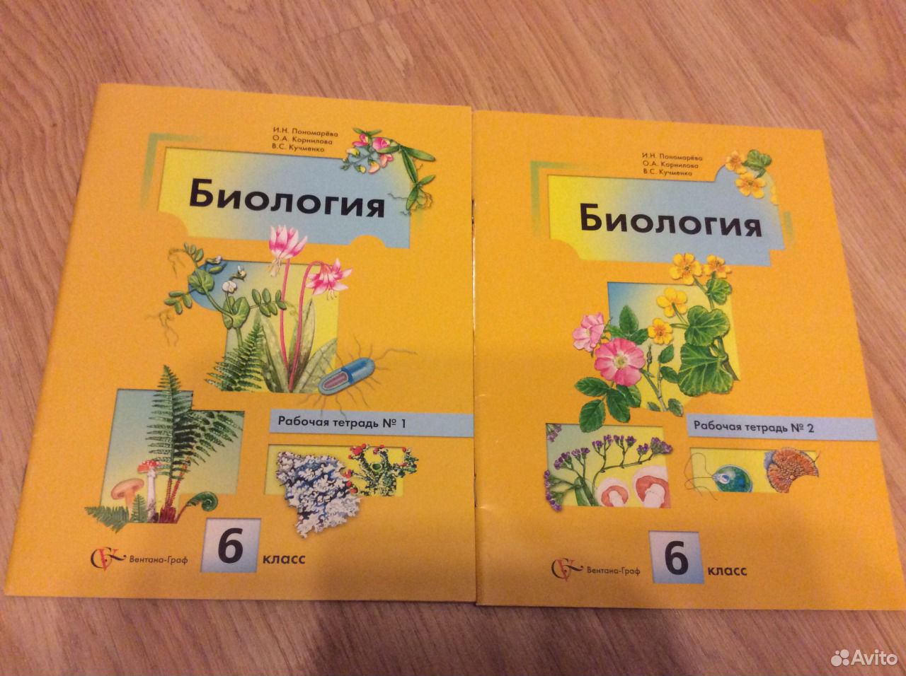 Учебник Пановарёвой 6 Клаас Решебник По Биологии учебник пановарёвой 6 клаас решебник по биологии