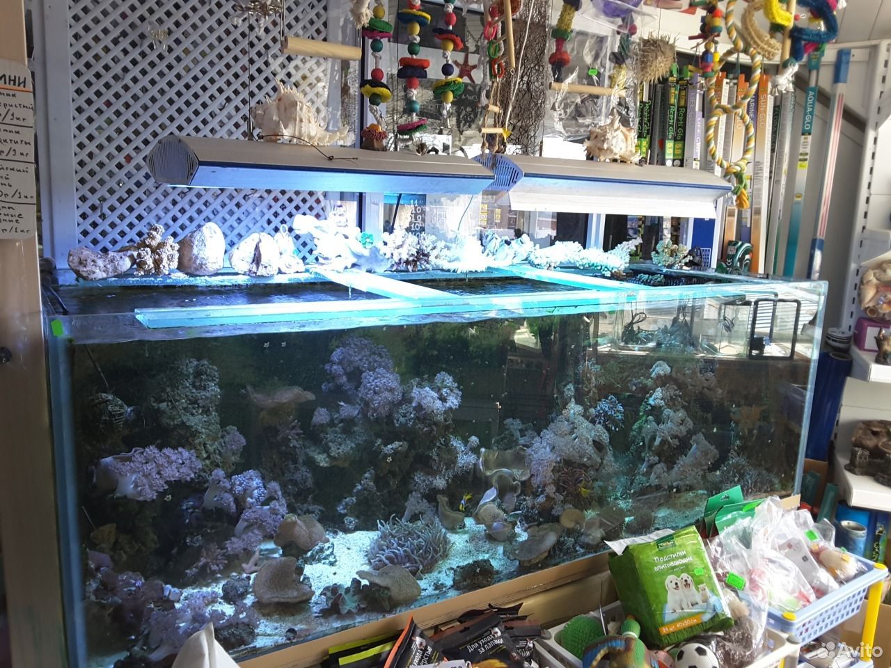 Обслуживание, установка, изготовление аквариумов купить на Зозу.ру - фотография № 1