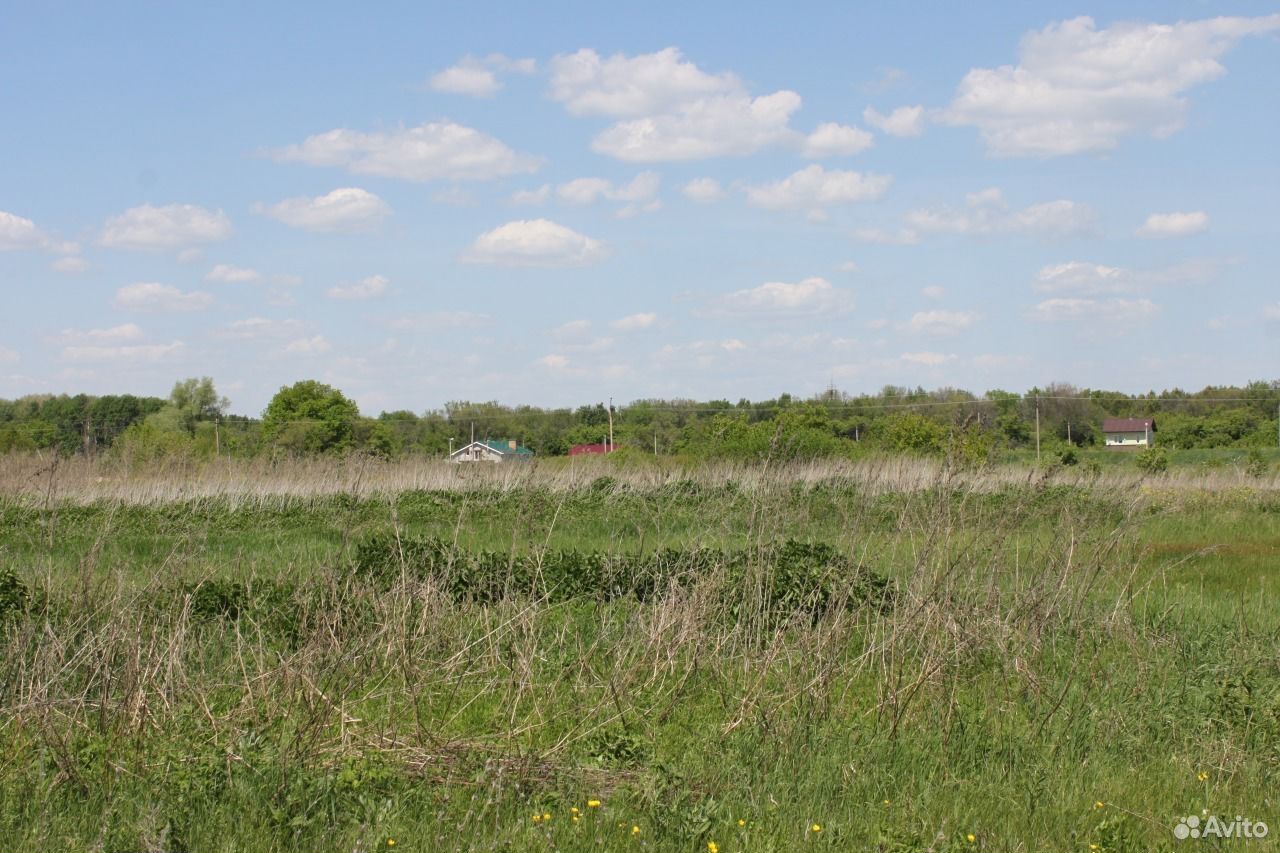 Погода городцовка самарская область