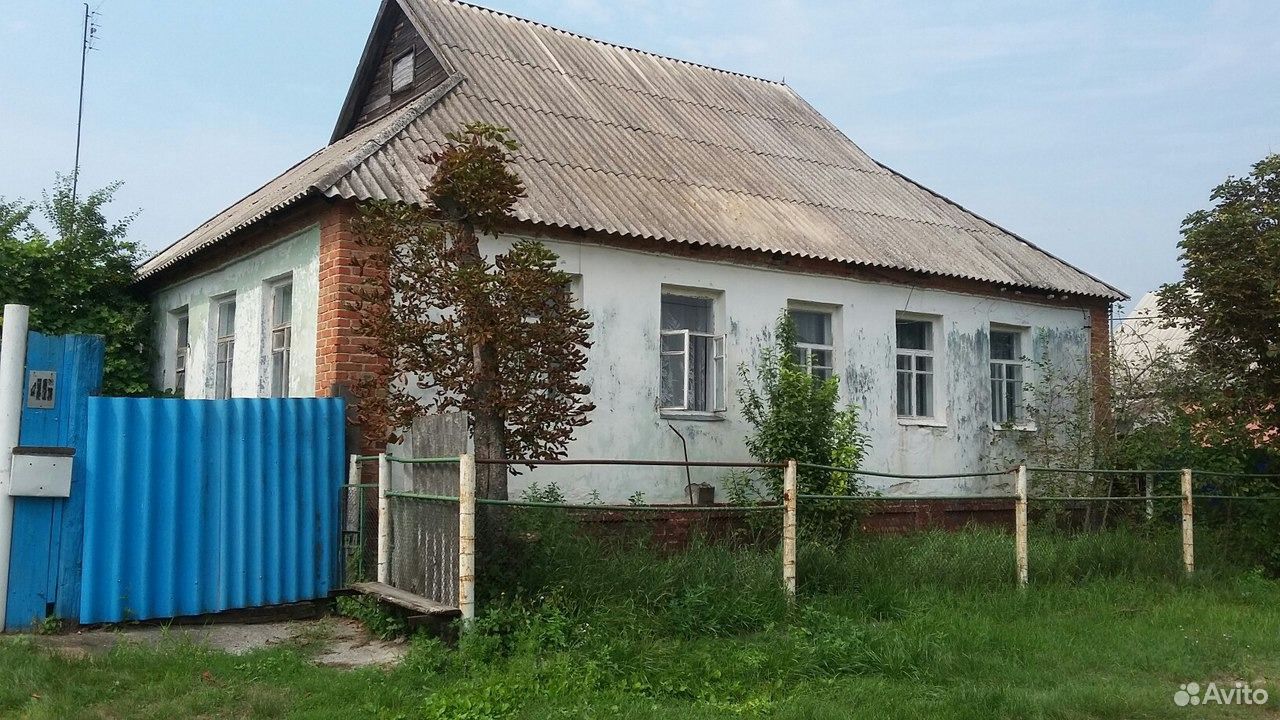 Новая таволжанка белгородская. Новая Таволжанка Белгородская область. Село новая Таволжанка Белгородской области. Новая Волжанка Белгородская область. Новая Таволжанка Белгород.