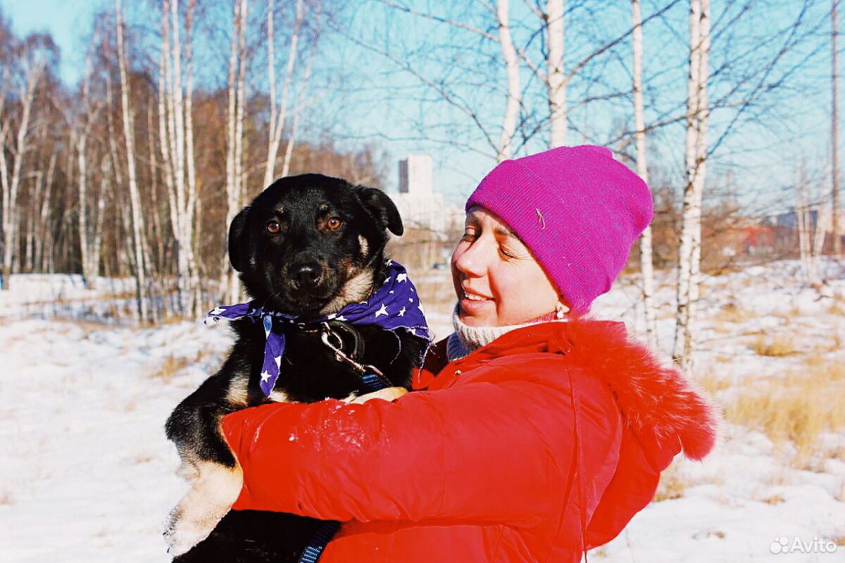 Небольшой пес Баги в дар купить на Зозу.ру - фотография № 3
