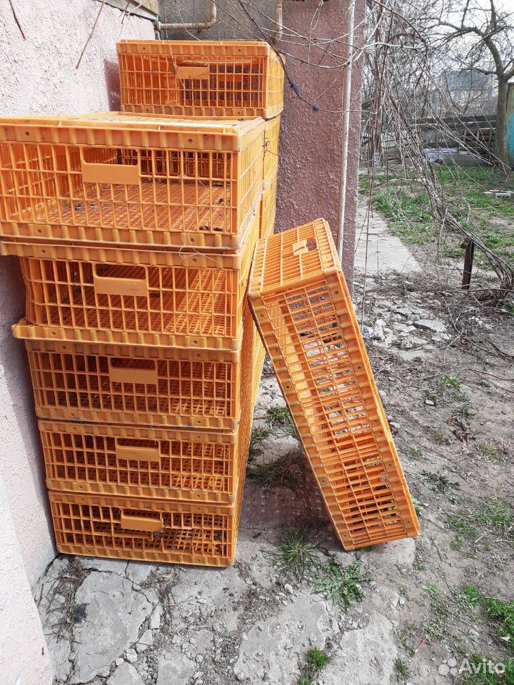 Ящик для птицы купить на Зозу.ру - фотография № 1