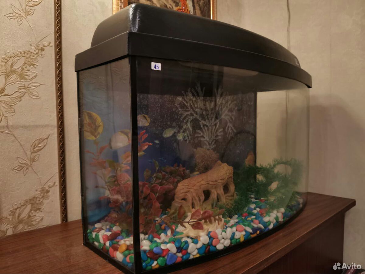 Продаю аквариум на 45 литров купить на Зозу.ру - фотография № 2