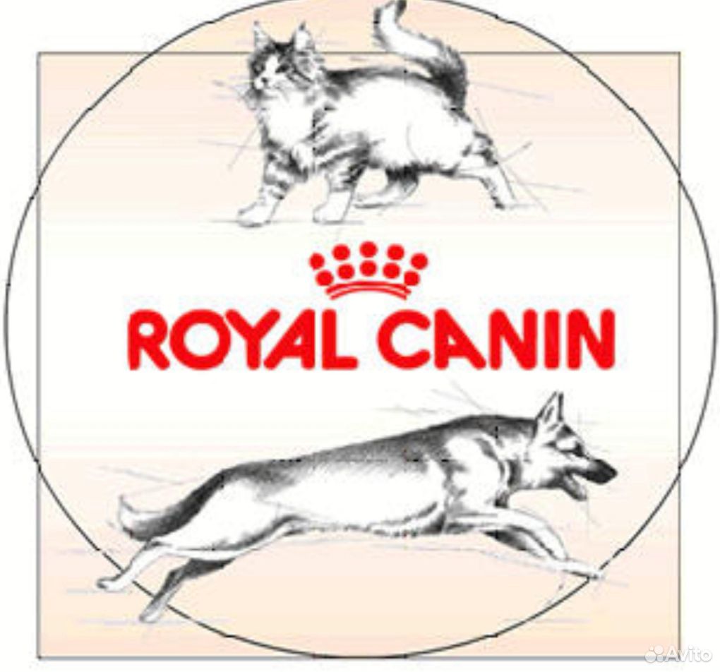 Корм Royal Canin с доставкой по городу купить на Зозу.ру - фотография № 1