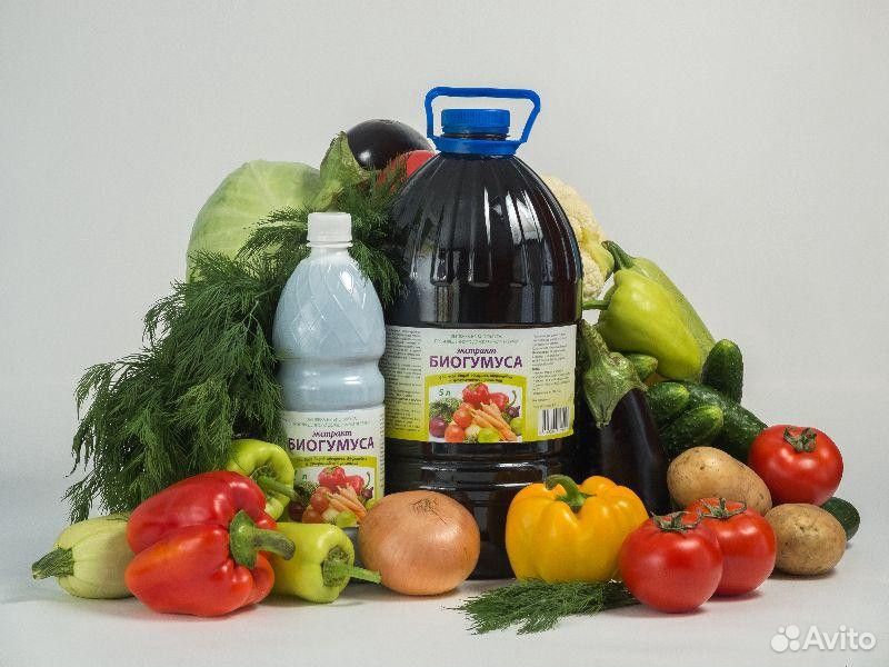 Жидкий экстракт биогумуса - 5 литров купить на Зозу.ру - фотография № 1