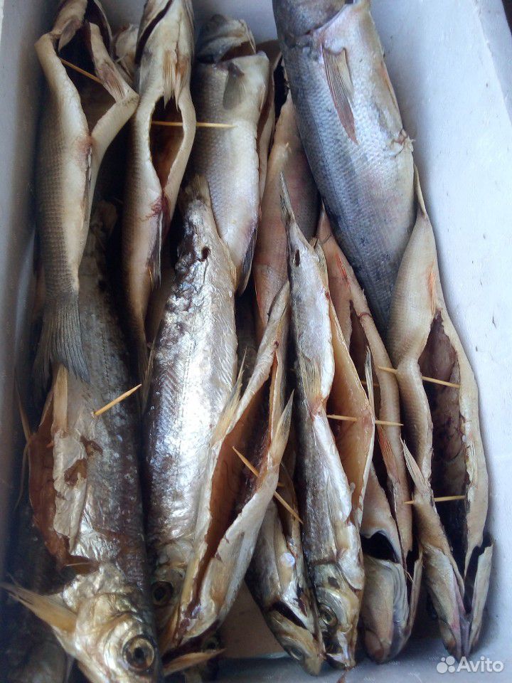 Рыба вяленая и холодного копчения купить на Зозу.ру - фотография № 1