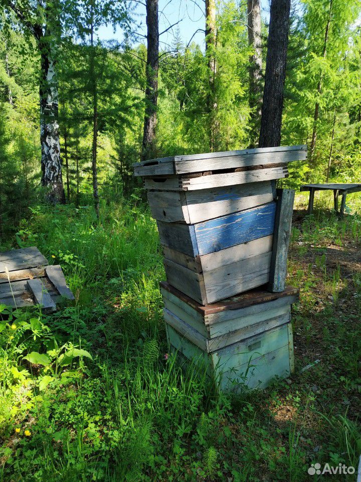 Пчеловодный инвентарь купить на Зозу.ру - фотография № 2