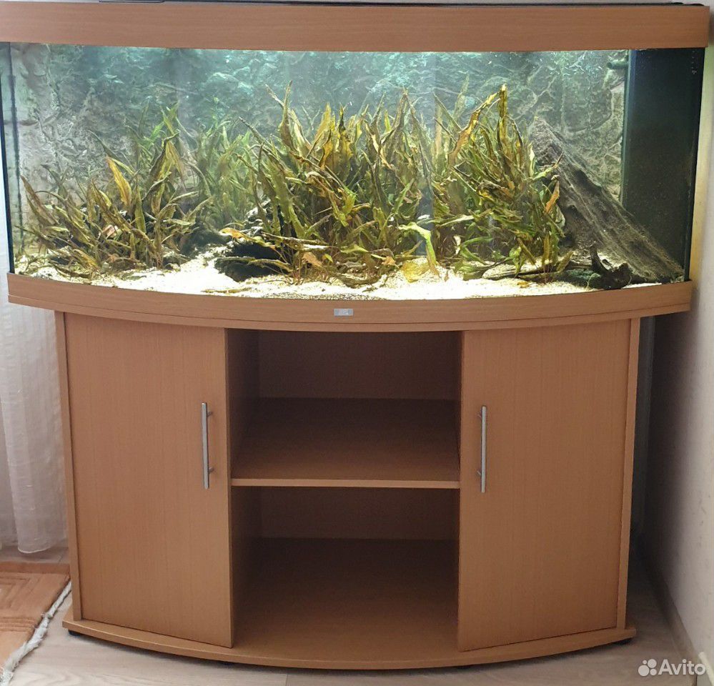 Продается аквариум Juwel 450 купить на Зозу.ру - фотография № 1