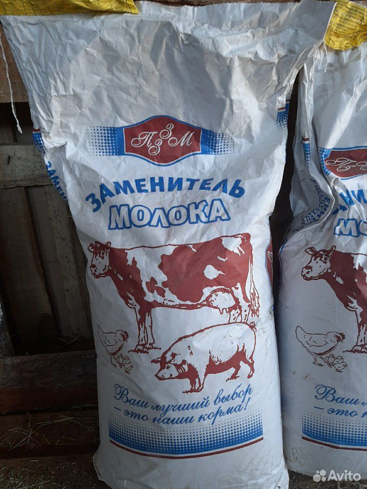 Заменитель молока купить на Зозу.ру - фотография № 1