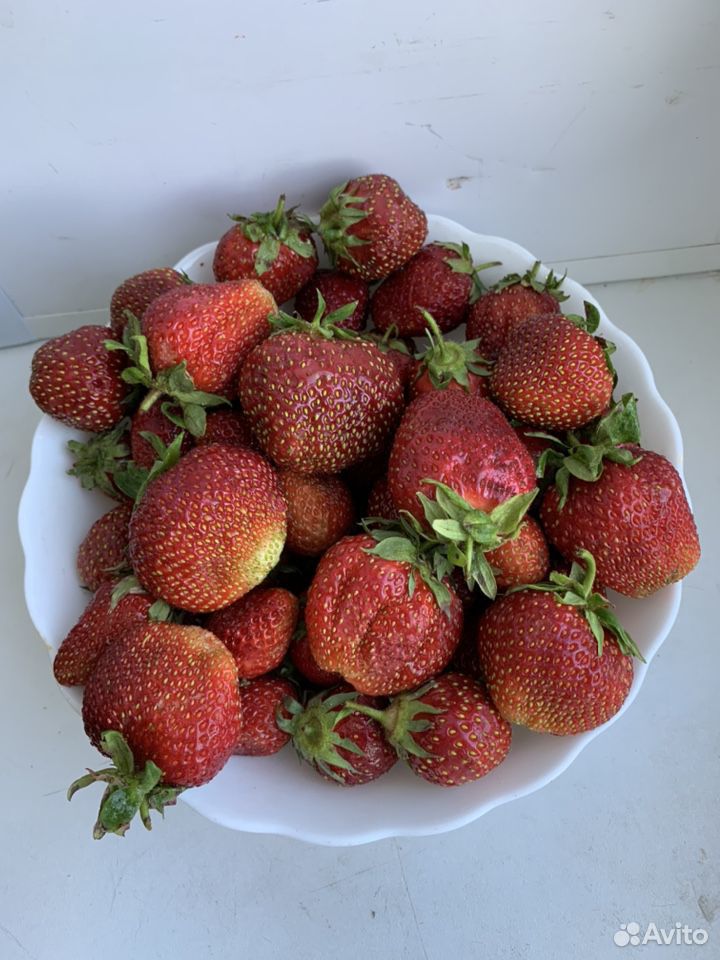 Свежие ягоды купить на Зозу.ру - фотография № 1