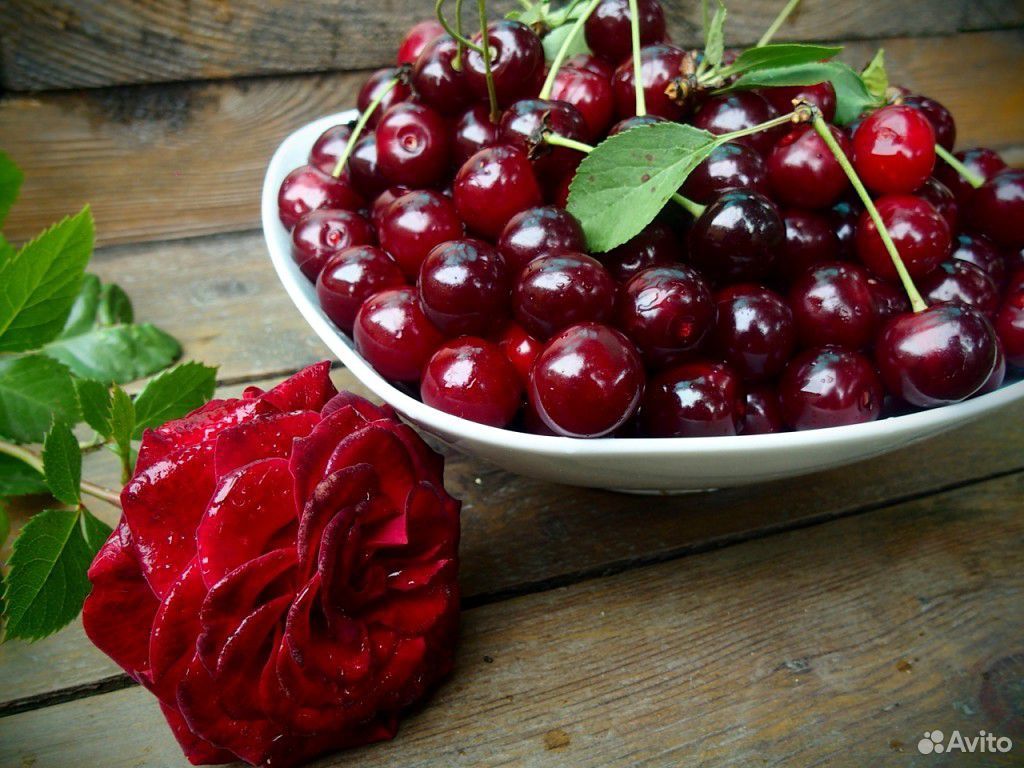 Вишня - ягоды купить на Зозу.ру - фотография № 1