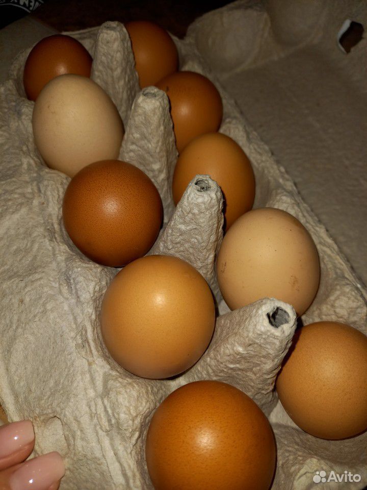 Яйца деревенсеие купить на Зозу.ру - фотография № 1