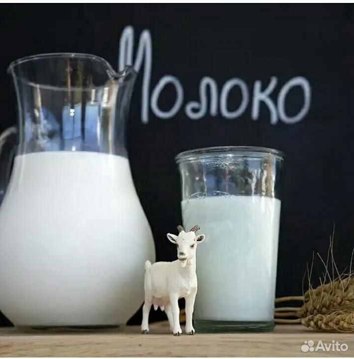 Козье молоко и творог купить на Зозу.ру - фотография № 1