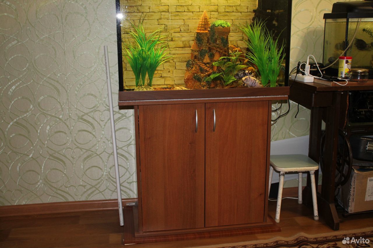 Продаю аквариум и рыбок купить на Зозу.ру - фотография № 6