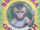 Сотрудники на выставку обезьян объявление продам