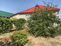 Купить Дом В Городищенском Районе Волгоградской Области