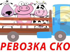 Дать объявление на рубцовскую доску объявлений частные объявления об анальном сексе