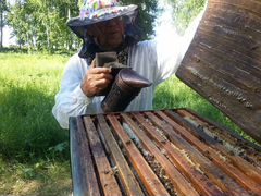 Свежий мёд Урожай июнь 2020 с собственной пасеки