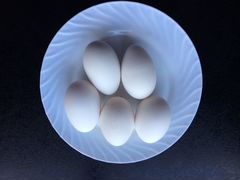 Инкубационное яйцо (гусиное)