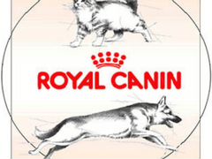 Корм Royal Canin с доставкой по городу