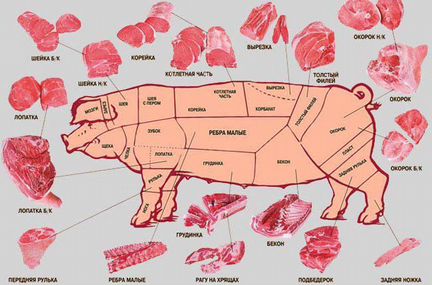 Мясо свиньи