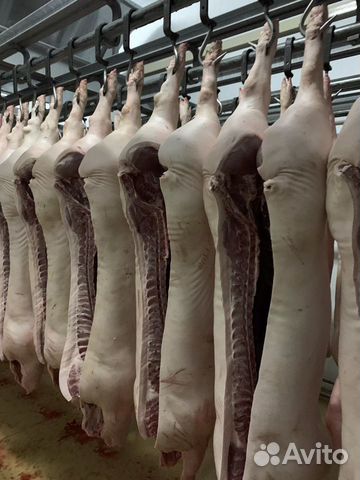 Мельниково. Мясо свинина в полутушах