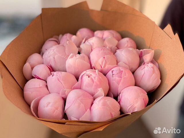 Пионы Букет пионов 25 11 19 9