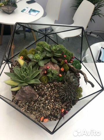 Фитодизай, оформление, флорариум