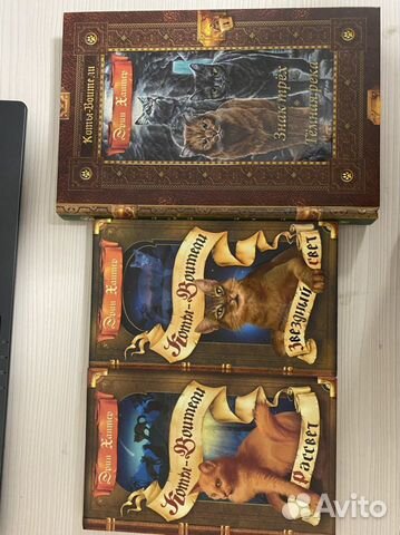 Коты-Воители