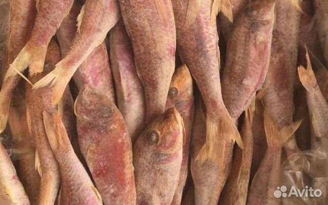 Черноморская барабулька