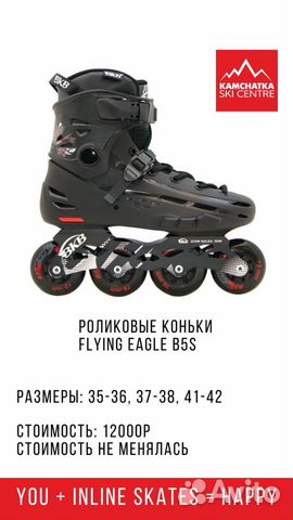 Роликовые коньки Flying Eagle B5S