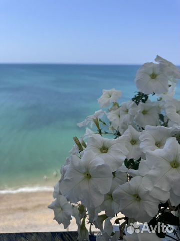 

Квартира-студия, 45 м², 2 кровати