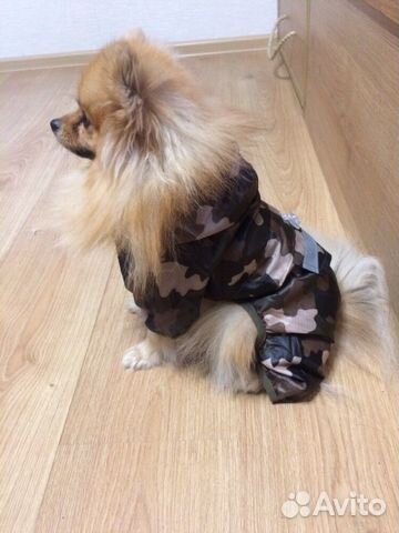 Дождевик для собак