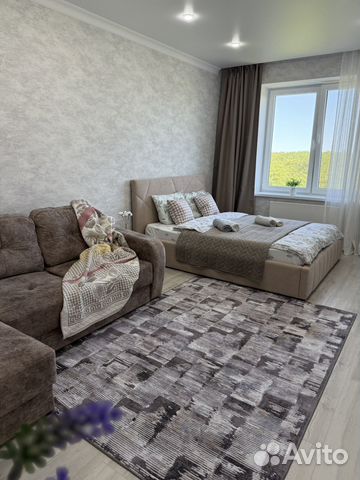 

1-к. квартира, 43 м², 2 кровати