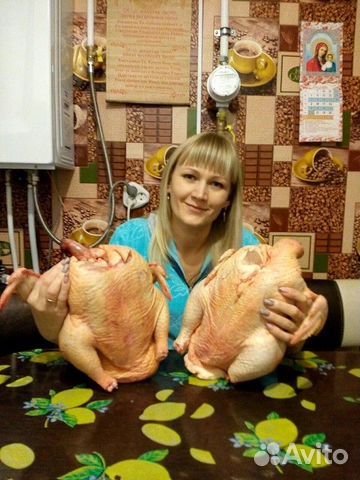 Цыплята бройлеры купить на Зозу.ру - фотография № 1