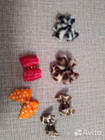 Заколки для собак