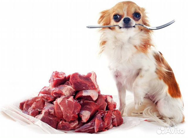 Натуральное питание-здоровье вашей собаки купить на Зозу.ру - фотография № 5