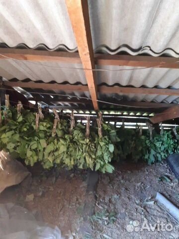 Хобби и отдых