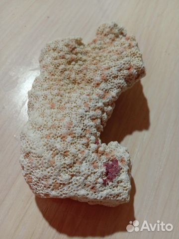 Декор для аквариума,кораллы,ракушки Декор для аквариума,кораллы,ракушки
