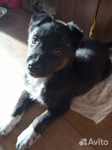 Мэри 2 мес