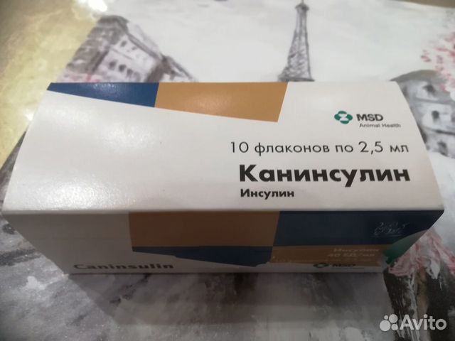 Канинсулин (инсулин для животных) купить на Зозу.ру - фотография № 1