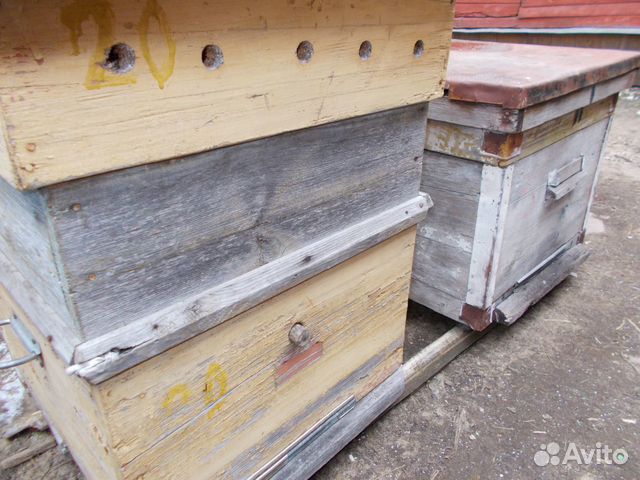 Ульи для пчел 12 рамок купить на Зозу.ру - фотография № 4
