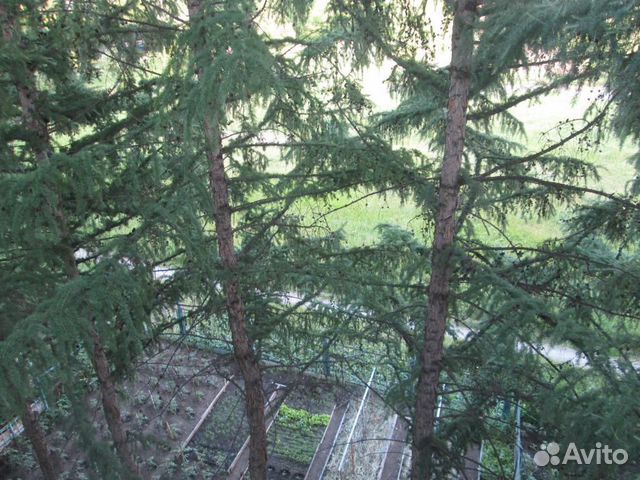 3-к квартира, 71 м², 4/5 эт.