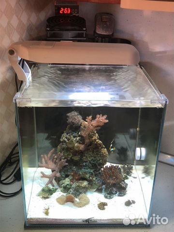 Морской мини аквариум Морской мини аквариум