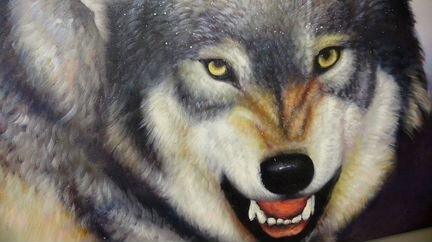 Звериный оскал, 60х90см, холст, масло, художник