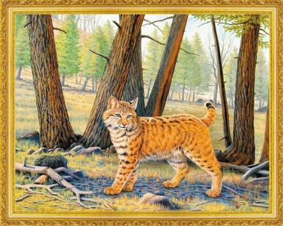 Алмазная мозаика на подрамнике