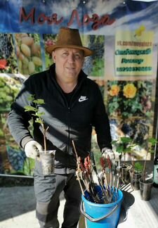 Саженцы винограда на Ваш вкус