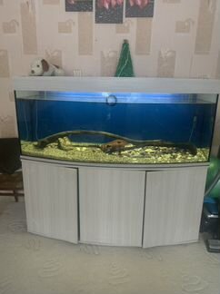 Панорамный аквариум (индивидуального заказа)