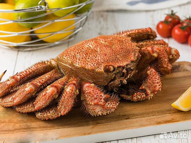 Краб Волосатик Целый Дальневосточный 1 Шт купить в Красноярске | Товары ...