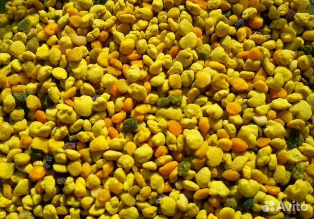 Пыльца 2023 г